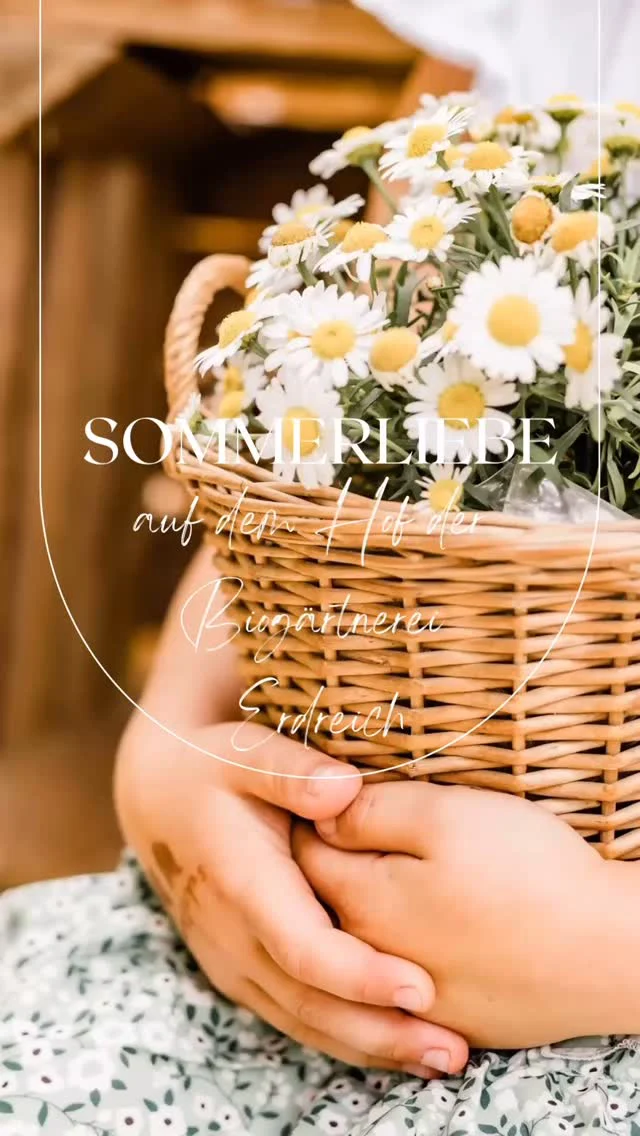 Es ist wieder soweit! 😊

Die Termine für unser beliebtes Sommerliebe-Shooting stehen fest. Location und Sets sind reserviert und geplant. 

Jetzt seid ihr an der Reihe! Schnell sein lohnt sich. 😉

Hier unsere Termine:

11.06. - 13.06. von 14:00 - 19:15 Uhr

17.06. - 20.06. von 14:00 - 19:15 Uhr

Wochenende:
21.06. - 22.06. von 11:00 - 19:15 Uhr

Wir freuen uns auf euch und eure Kinder! 😊 
 

Sommerliche Grüße 
Irina 

#sichtbar #fotografie #sommerliebe #kindershooting #familien #biogärtnerei #spaß #kinderlachen